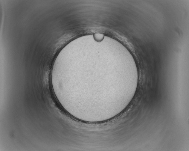 X0000111350010200908071142