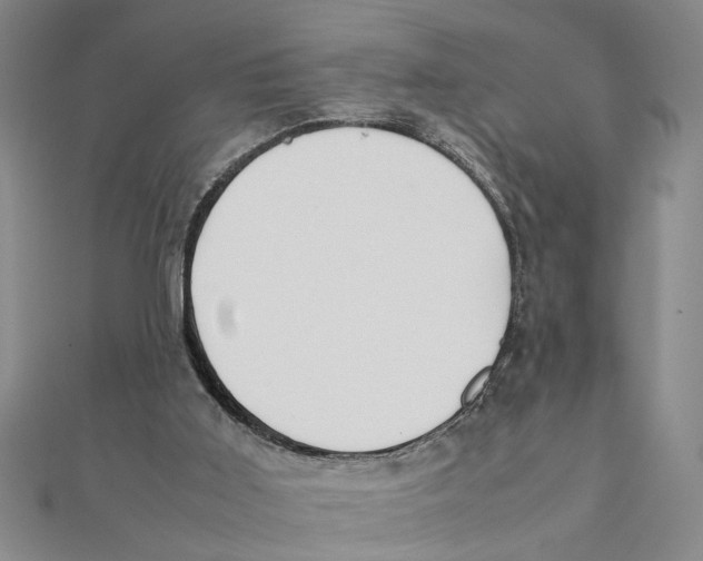 X0000111350011200908071142