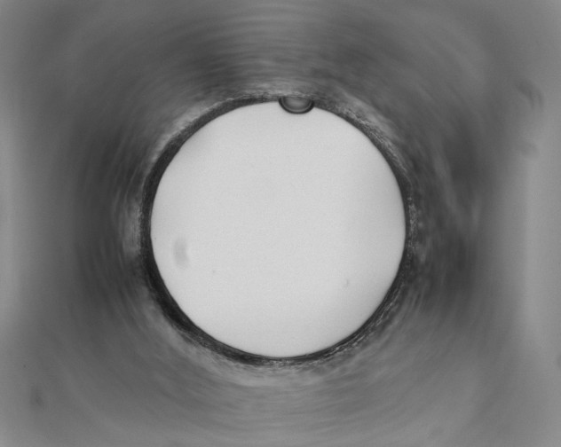 X0000111350012200908071142