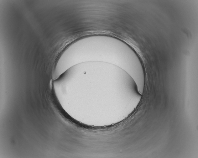 X0000111350013200908071142
