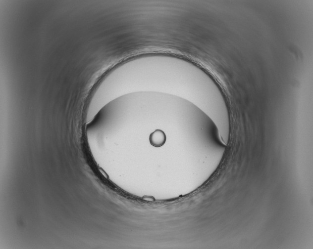 X0000111350015200908071142