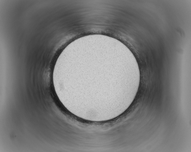X0000111350016200908071142