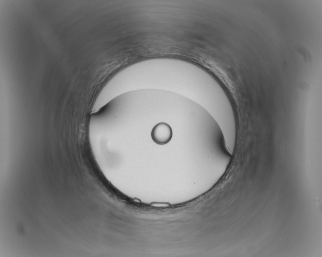 X0000111350017200908071142