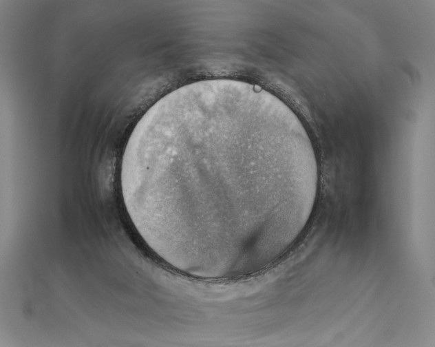 X0000111350018200908071142