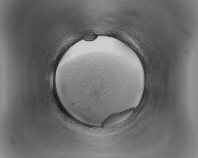 X0000111350019200908071142