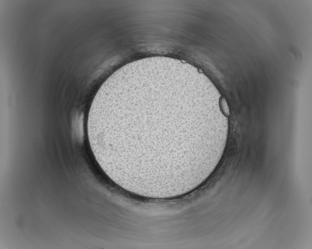 X0000111350020200908071142