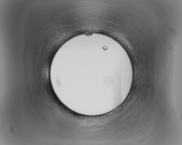 X0000111350021200908071142