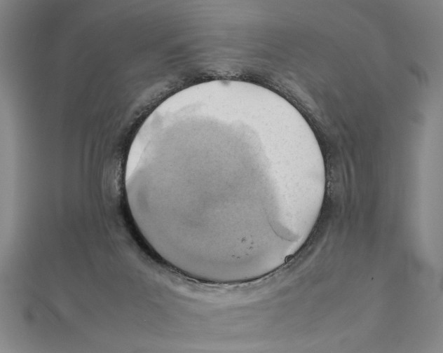 X0000111350023200908071142