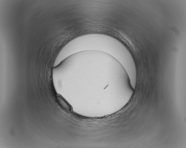 X0000111350025200908071142