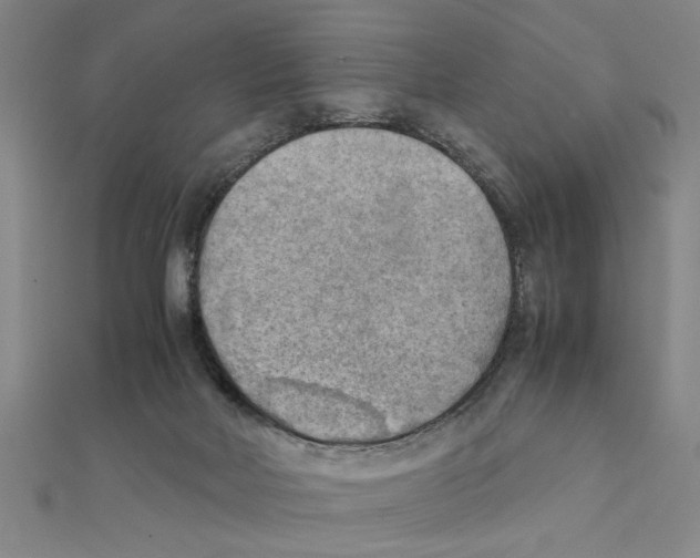 X0000111350026200908071142