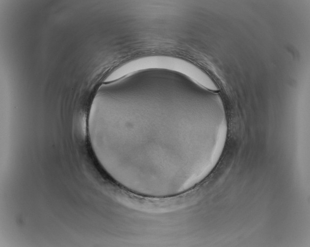 X0000111350027200908071142