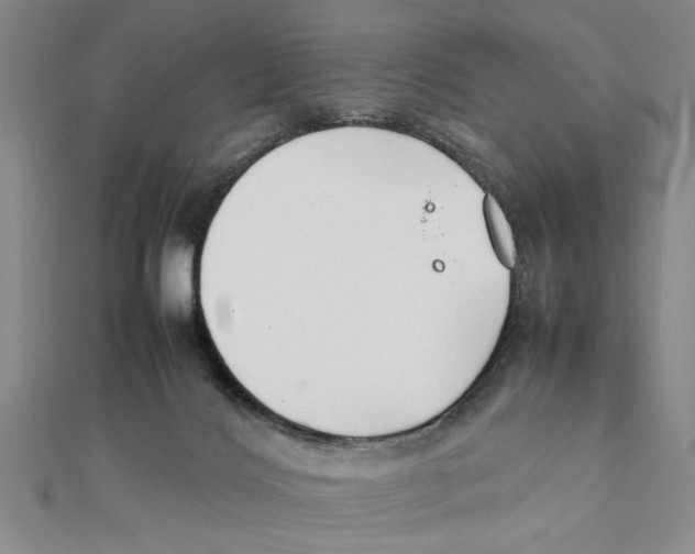 X0000111350028200908071142