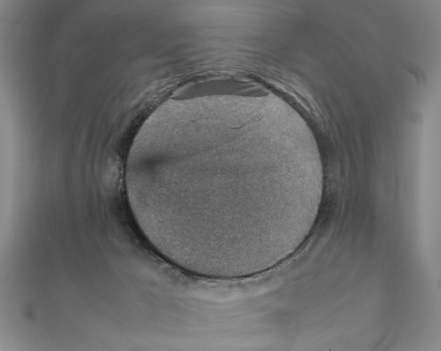 X0000111350029200908071142