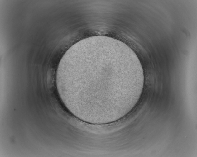 X0000111350030200908071142