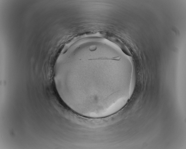 X0000111350031200908071142