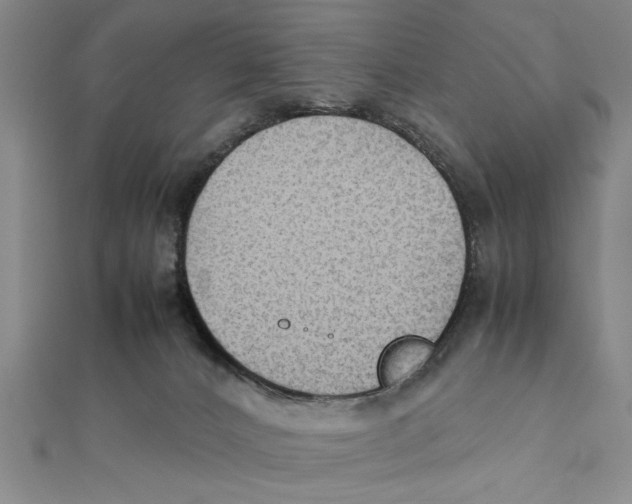 X0000111350032200908071142