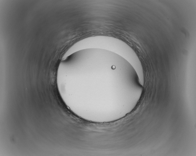 X0000111350033200908071142