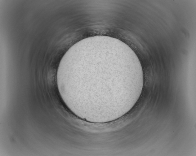 X0000111350034200908071142