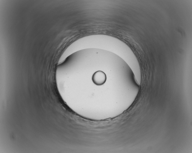 X0000111350035200908071142