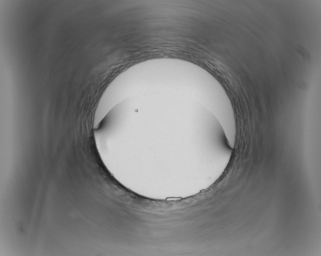 X0000111350037200908071142