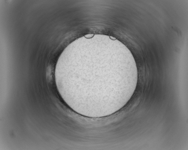 X0000111350038200908071142