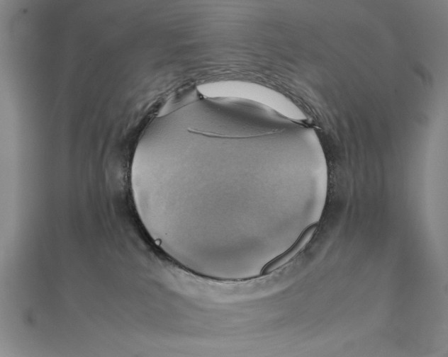 X0000111350039200908071142