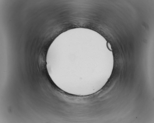 X0000111350040200908071142