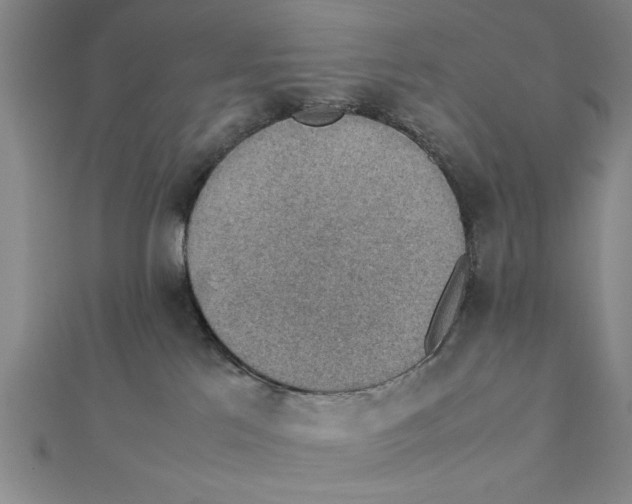 X0000111350041200908071142