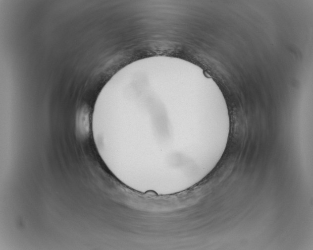 X0000111350042200908071142