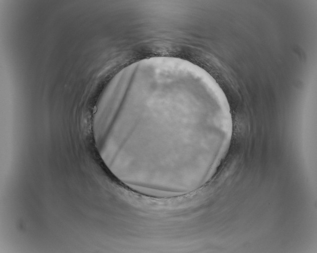 X0000111350043200908071142