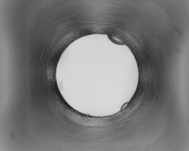 X0000111350044200908071142