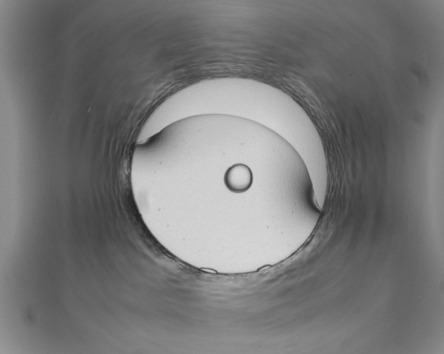 X0000111350045200908071142