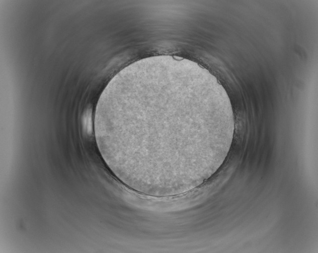 X0000111350046200908071142
