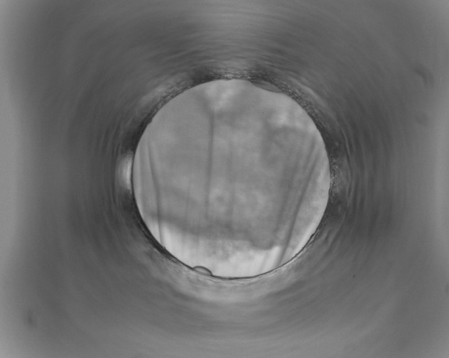 X0000111350047200908071142