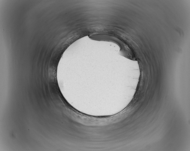 X0000111350048200908071142