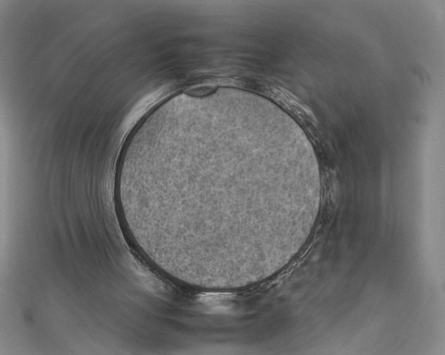 X0000111350051200908071141
