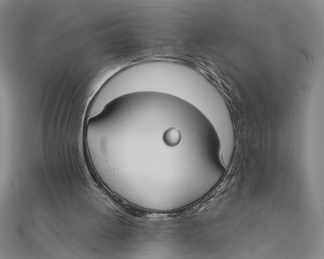 X0000111350052200908071141