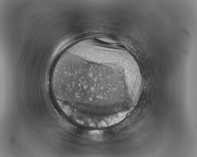 X0000111350053200908071141