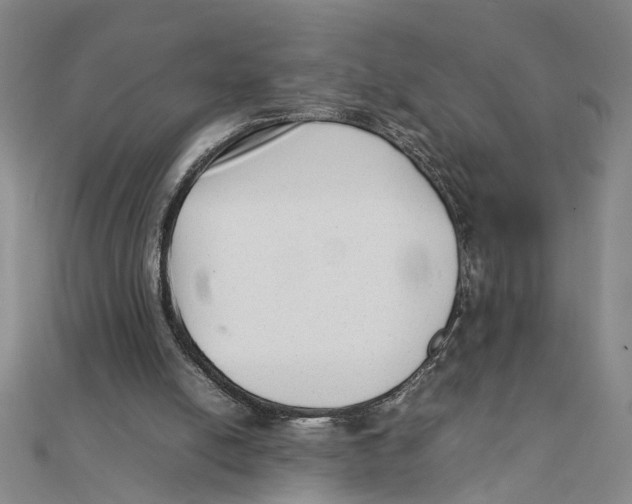 X0000111350054200908071141