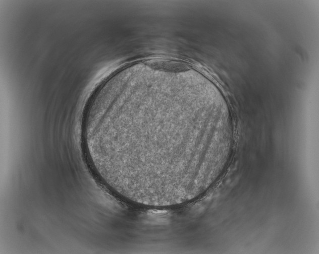 X0000111350055200908071141