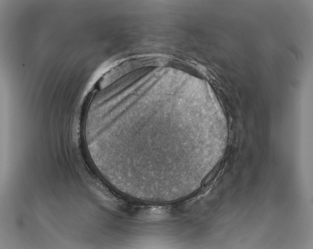 X0000111350056200908071141