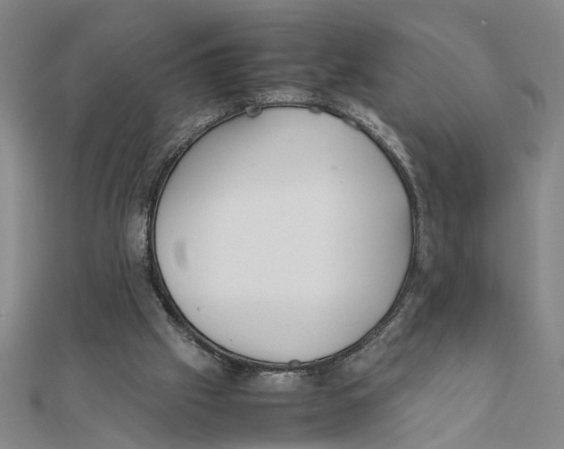 X0000111350057200908071141