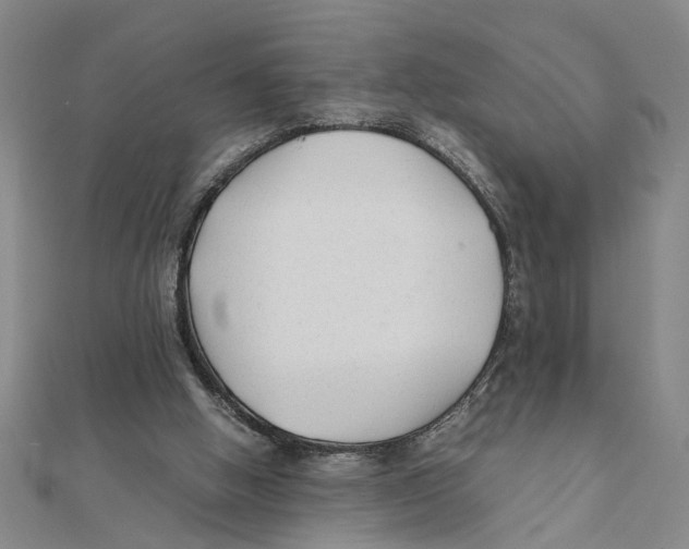 X0000111350058200908071141