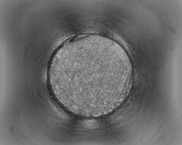 X0000111350059200908071141
