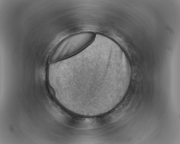 X0000111350060200908071141