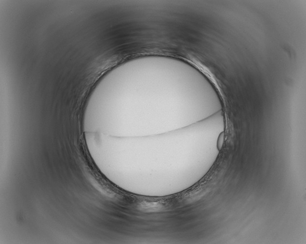 X0000111350061200908071141