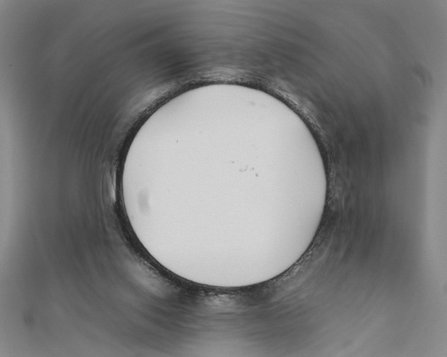 X0000111350062200908071141