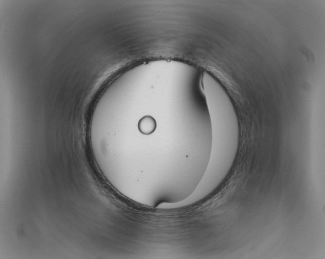 X0000111350064200908071141