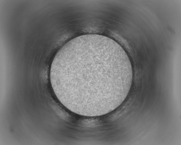 X0000111350065200908071141