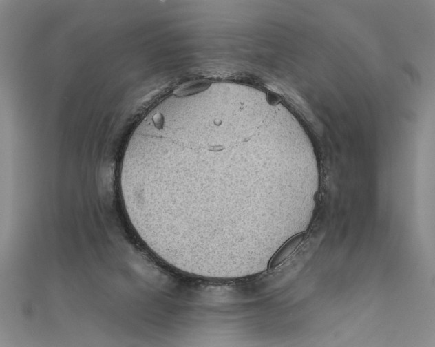 X0000111350066200908071141